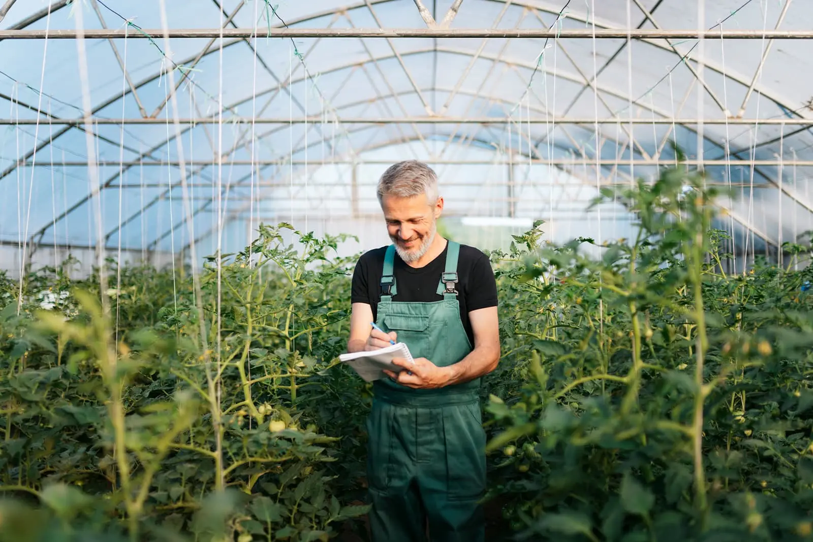 Mulberry Wealth Securities - Social responsibility initiatives