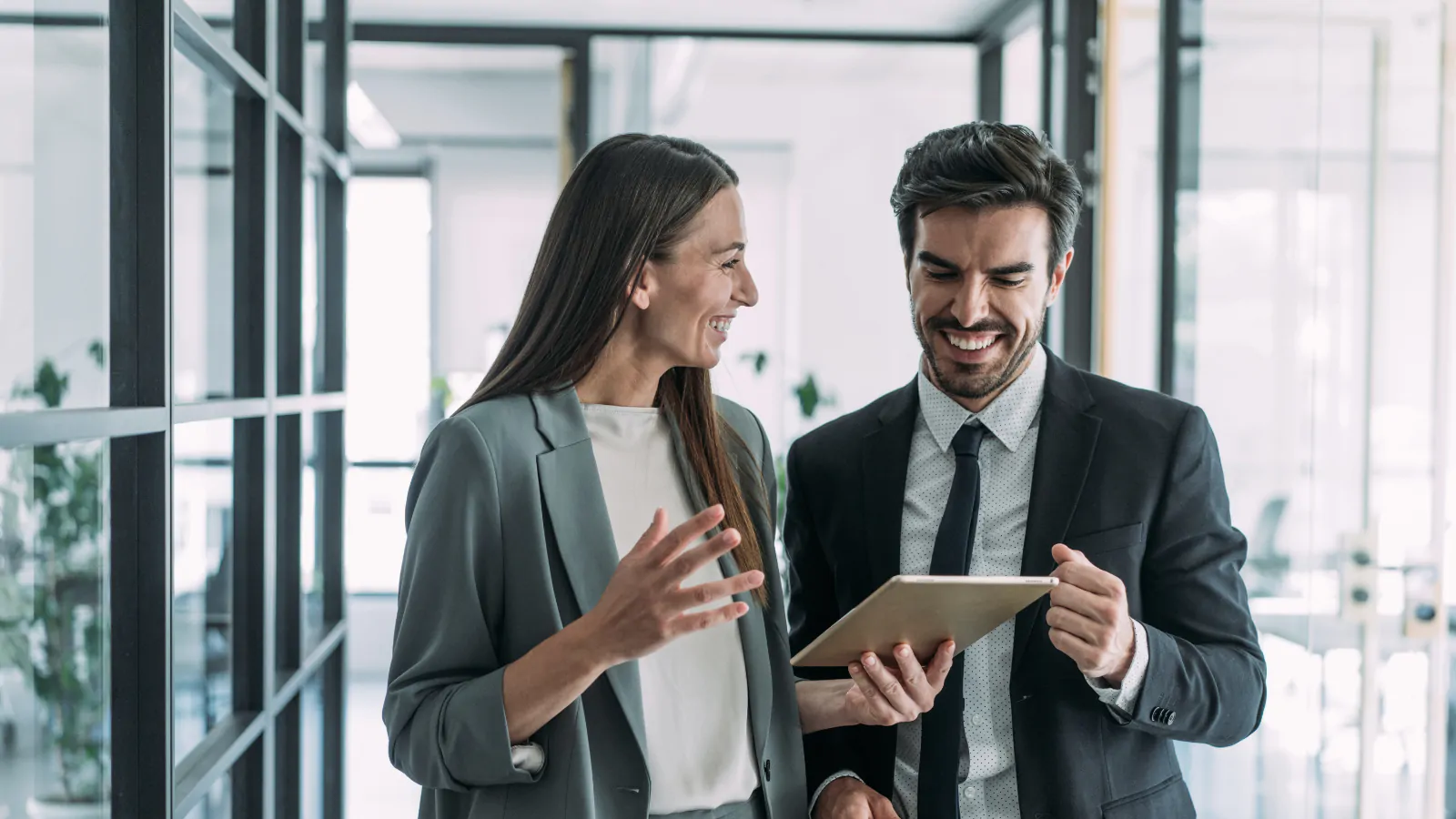 Mulberry Wealth Securities - Who we are overview